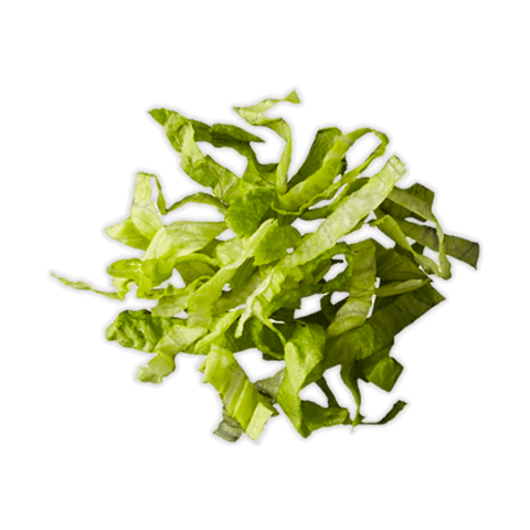 Insalata iceberg